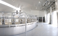 Extrutech Panels on Parlor Walls & Ceiling