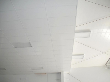Suspended Ceiling Panels by Extrutech Plastics