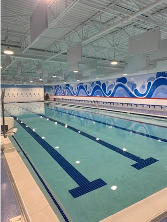 Indoor Swimming Pool using Extrutech Panels on the Ceiling
