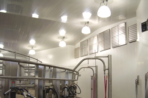 Extrutech Panels on Walls & Ceiling