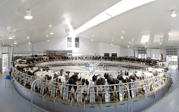 Agricultural Wall & Dairy Parlor using Extrutech Interlocking Liner PanelsCeiling Liner Panels