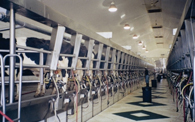 Extrutech Plastics, Inc.